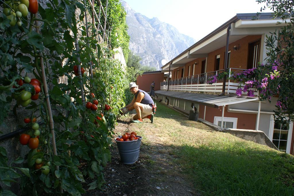 Hotel Riviera Panoramic Green Resort Limone sul Garda Exterior photo